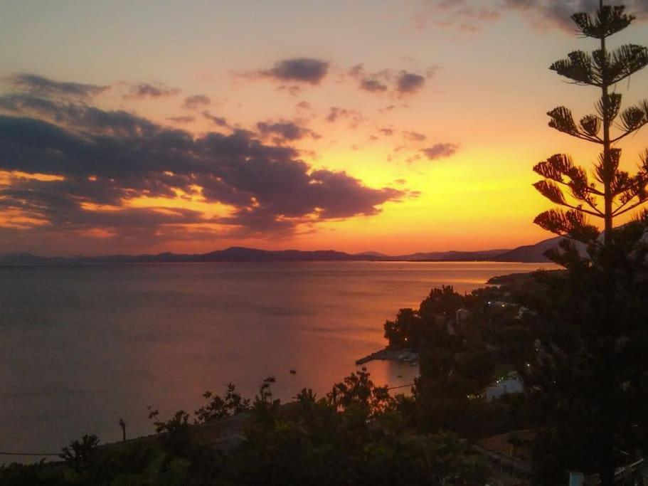 Kalimera Villa, Afissos Pelion Dış mekan fotoğraf