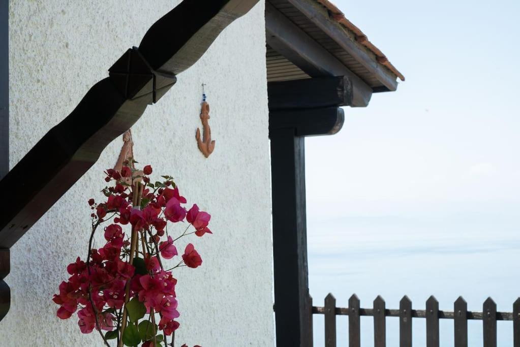 Kalimera Villa, Afissos Pelion Dış mekan fotoğraf